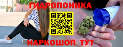 индика Балахна