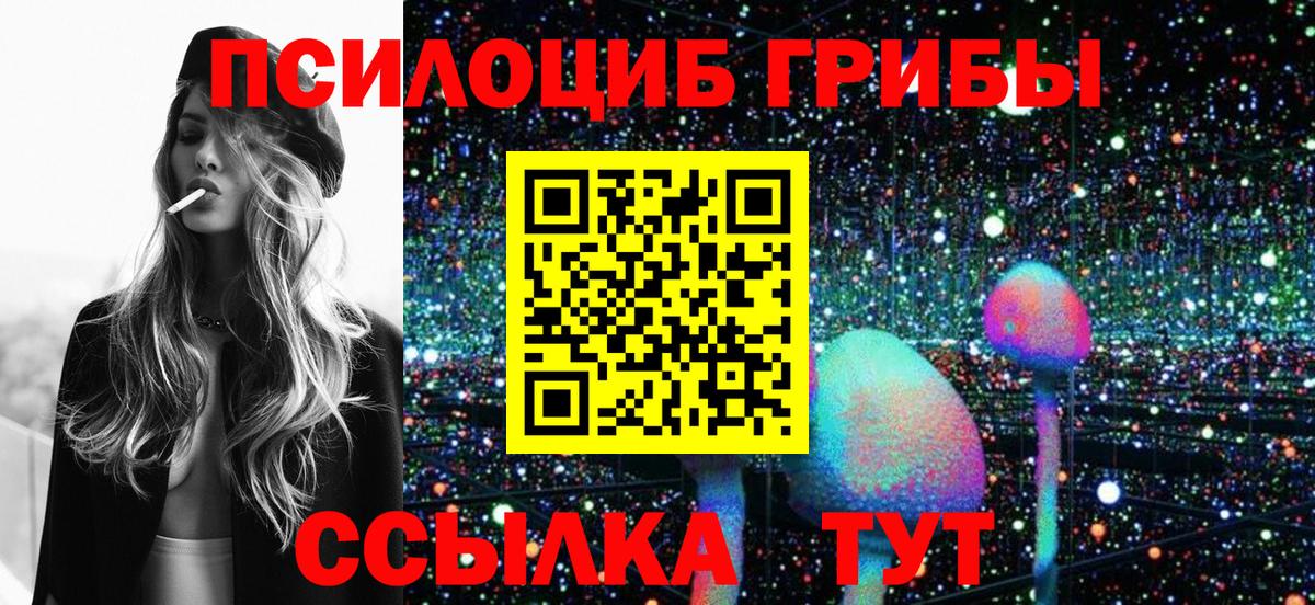 Псилоцибиновые грибы Psilocybe  Галлюциногенные грибы ЛСД  Димитровград  Вход с VPN 